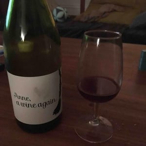 Autour de l'Anne - Anne Leclerc Paillet - Anne, a wine again