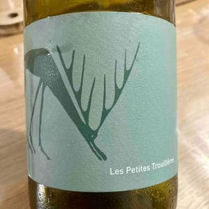 Annolium Blanc - Domaine Des Trouillères - Camille & Mikael Hyvert -2021