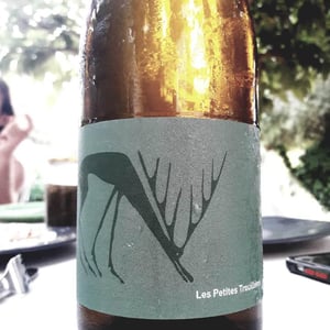 Annolium Blanc - Domaine Des Trouillères - Camille & Mikael Hyvert -2021