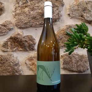 Annolium Blanc - Domaine Des Trouillères - camille-mikael-hyvert -2021