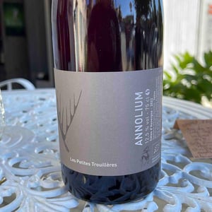 Annolium Rouge - Domaine Des Trouillères - camille-mikael-hyvert