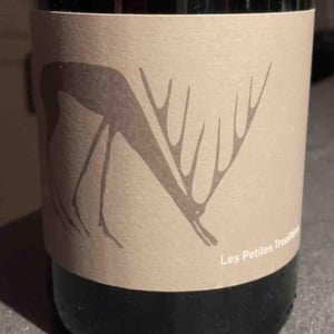 Annolium Rouge - Domaine Des Trouillères - Camille & Mikael Hyvert 