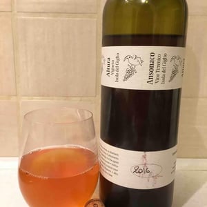 Altura Vigneto - Francesco Carfagna - Ansonaco