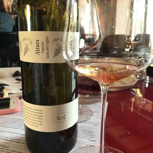 Altura Vigneto - Francesco Carfagna - Ansonaco
