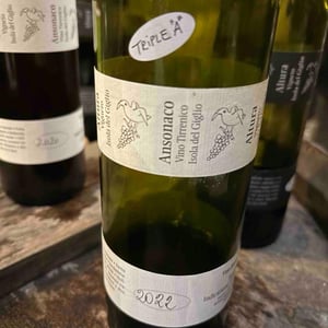 Altura Vigneto - Francesco Carfagna - Ansonaco