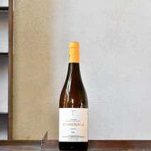 Ansonica - Cataldo Catabretta - cataldo-calabretta -2021