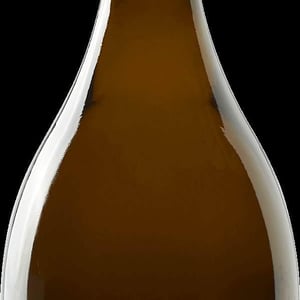 Antédiluvien - Champagne Vincent Métivier - vincent-metivier