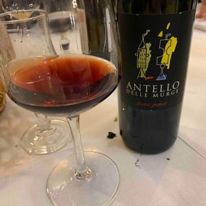 Antello delle Murge - Cantine Cristiano Guttarolo - cristiano-guttarolo