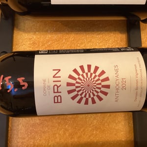 Anthocyanes - Domaine de Brin - damien-bonnet