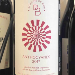Domaine de Brin - Damien Bonnet - Anthocyanes