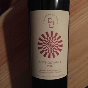 Anthocyanes - Domaine de Brin - damien-bonnet