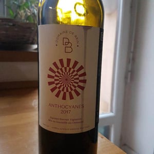 Anthocyanes - Domaine de Brin - Damien Bonnet 