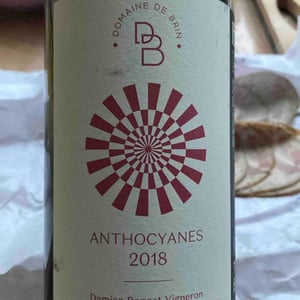 Anthocyanes - Domaine de Brin - Damien Bonnet 