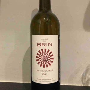 Anthocyanes - Domaine de Brin - damien-bonnet