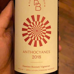 Anthocyanes - Domaine de Brin - damien-bonnet