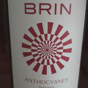 Anthocyanes - Domaine de Brin - damien-bonnet