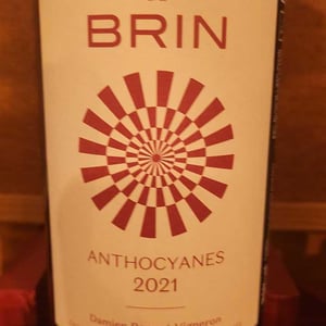 Anthocyanes - Domaine de Brin - damien-bonnet
