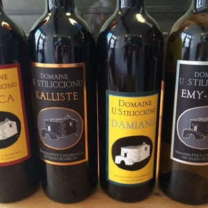 Antica - Domaine U Stiliccionu - sebastien-poly-casablanca