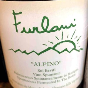 Cantina Furlani - Matteo Furlani - Antico