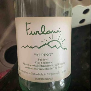 Antico - Cantina Furlani - Matteo Furlani 