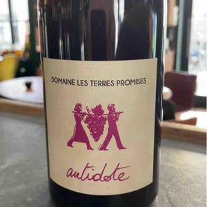 Antidote - Les Terres Promises - jean-christophe-comor