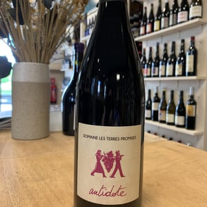 Antidote - Les Terres Promises - jean-christophe-comor