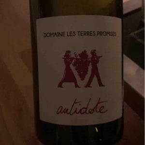 Les Terres Promises - Jean-Christophe Comor - Antidote