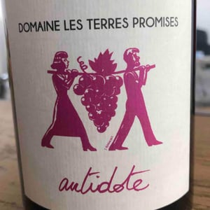 Les Terres Promises - Jean-Christophe Comor - Antidote