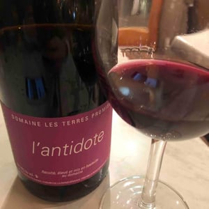 Antidote - Les Terres Promises - Jean-Christophe Comor 