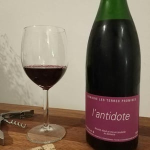 Antidote - Les Terres Promises - jean-christophe-comor