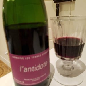 Antidote - Les Terres Promises - jean-christophe-comor