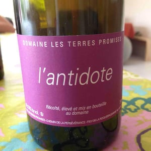 Antidote - Les Terres Promises - jean-christophe-comor