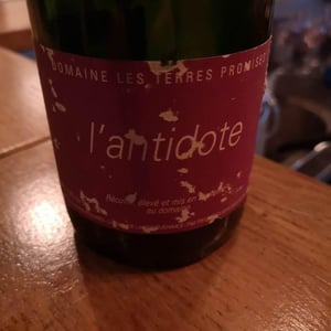 Antidote - Les Terres Promises - Jean-Christophe Comor 