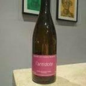 Les Terres Promises - Jean-Christophe Comor - Antidote