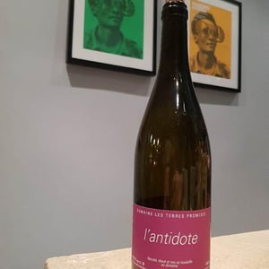 Les Terres Promises - Jean-Christophe Comor - Antidote