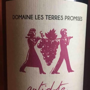 Les Terres Promises - Jean-Christophe Comor - Antidote
