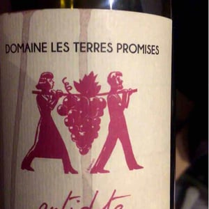 Antidote - Les Terres Promises - jean-christophe-comor