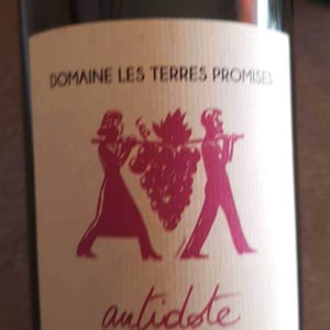 Les Terres Promises - Jean-Christophe Comor - Antidote