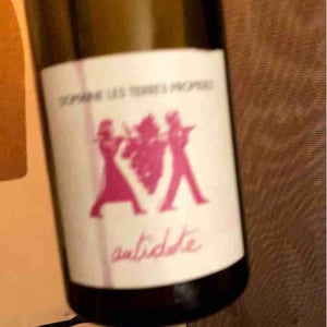 Antidote (image 2) 2018