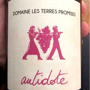 Les Terres Promises - Jean-Christophe Comor - Antidote