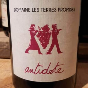 Les Terres Promises - Jean-Christophe Comor - Antidote
