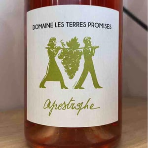 Antidote - Les Terres Promises - jean-christophe-comor