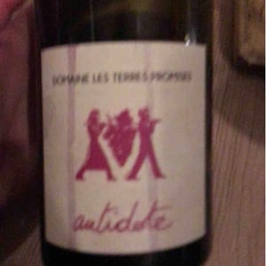 Antidote - Les Terres Promises - jean-christophe-comor