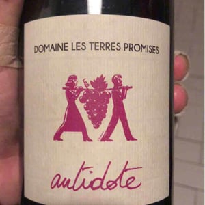 Antidote - Les Terres Promises - jean-christophe-comor
