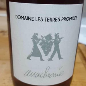 Les Terres Promises - Jean-Christophe Comor - Antidote