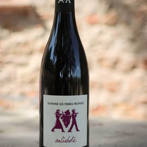 Antidote - Les Terres Promises - jean-christophe-comor