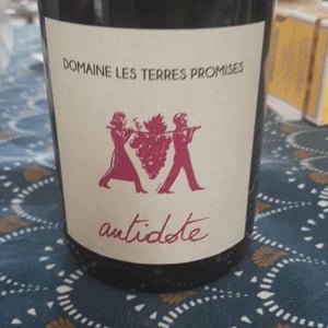 Les Terres Promises - Jean-Christophe Comor - Antidote