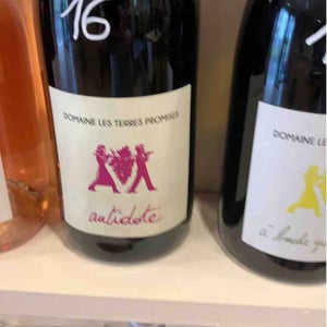 Antidote - Les Terres Promises - jean-christophe-comor