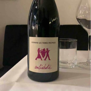 Antidote - Les Terres Promises - Jean-Christophe Comor 