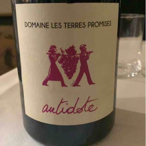 Antidote - Les Terres Promises - jean-christophe-comor